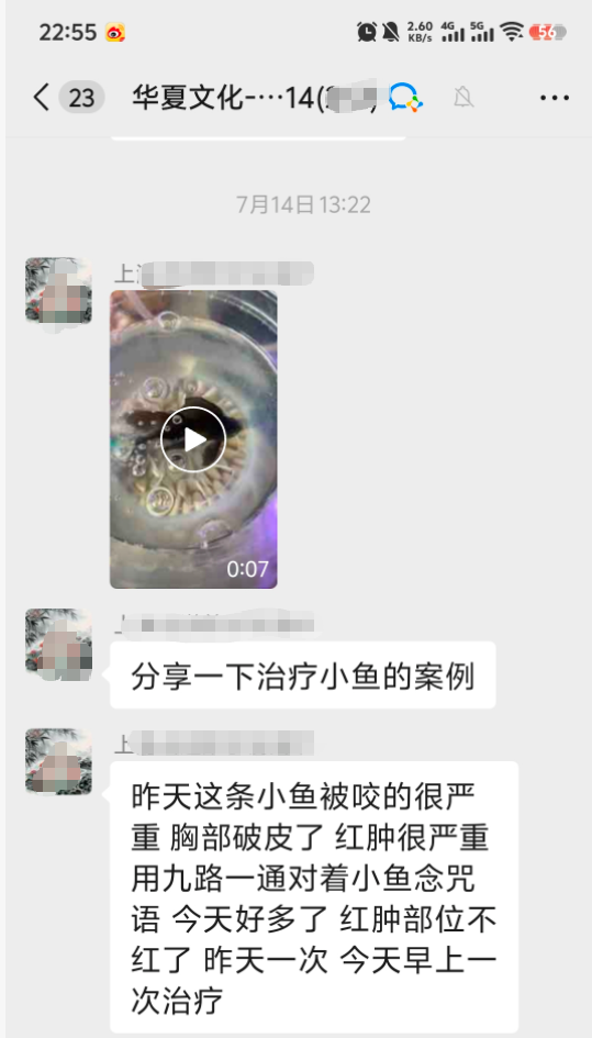 治疗小鱼案例