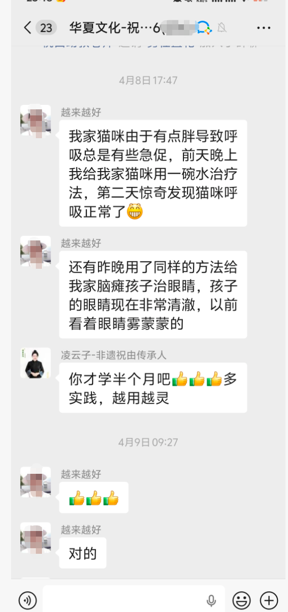 猫呼吸急促调理反馈