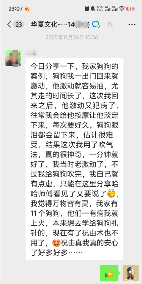 狗激动抽调理